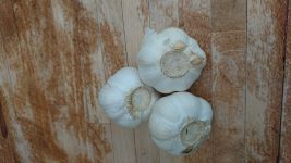 Chinese Organic Garlic.JPG